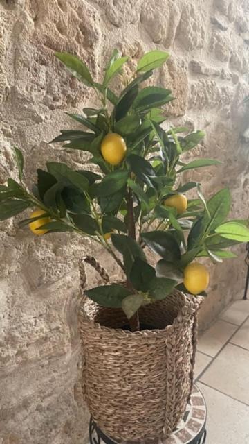 L'Isle Daire Beaucaire  Dış mekan fotoğraf